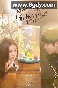 陷入我们的热恋(2025)完结24集全迅雷网盘全集下载