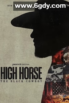 黑马：黑牛仔(2025)完结3集全迅雷网盘全集下载