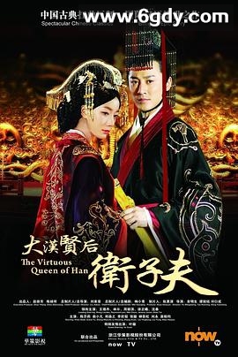 卫子夫(2014)完结47集全迅雷网盘全集下载