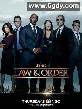 法律与秩序 第二十二季(2022)完结已完结迅雷网盘全集下载