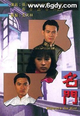 名门(1988)完结27集全迅雷网盘全集下载
