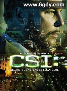 犯罪现场调查 第八季(2007)完结17集全迅雷网盘全集下载