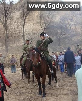 浴血玫瑰(2011)完结已完结迅雷网盘全集下载