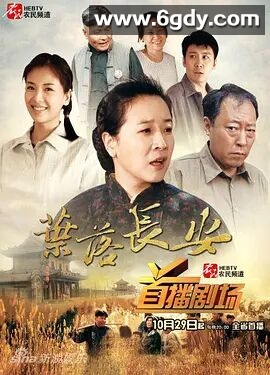 叶落长安(2011)完结已完结迅雷网盘全集下载