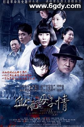 血雨母子情(2012)完结已完结迅雷网盘全集下载