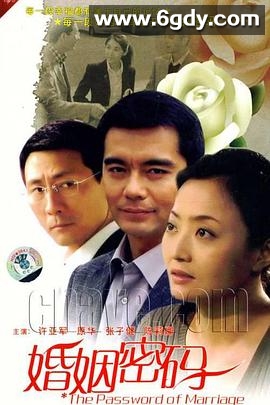 婚姻密码(2011)完结已完结迅雷网盘全集下载