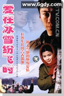 爱在冰雪纷飞时(2000)完结已完结迅雷网盘全集下载