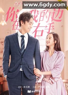 你在我的右手边(2020)完结已完结迅雷网盘全集下载