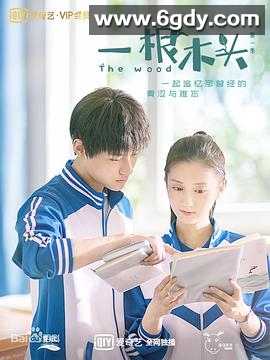 一根木头 第二季(2020)完结已完结迅雷网盘全集下载