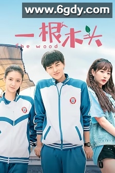 一根木头(2020)完结12集全迅雷网盘全集下载