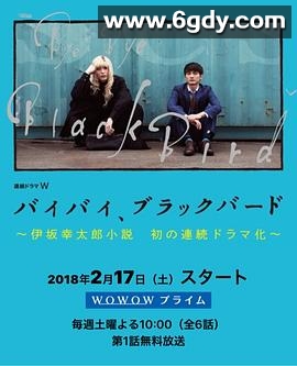 再见，黑鸟(2018)完结更新至第6集迅雷网盘全集下载