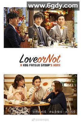 Love or Not(2017)完结更新至第10集迅雷网盘全集下载