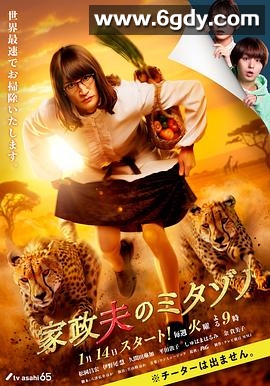 家政夫三田园7(2025)完结9集全迅雷网盘全集下载