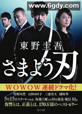 彷徨之刃(2021)完结6集全迅雷网盘全集下载