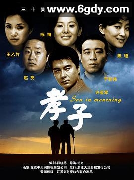 孝子(2006)完结已完结迅雷网盘全集下载