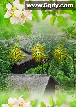 农家乐(2005)完结已完结迅雷网盘全集下载