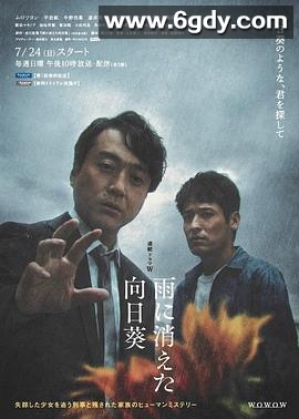 雨中消失的向日葵(2022)完结5集全迅雷网盘全集下载