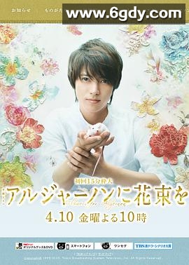 献给阿尔吉侬的花束(2015)完结更新至第10集迅雷网盘全集下载