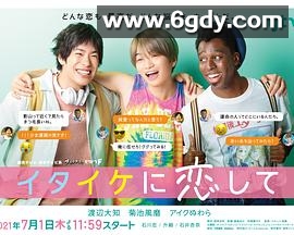 稚嫩地恋爱(2021)完结更新至第10集迅雷网盘全集下载