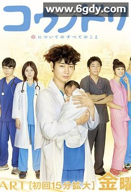 产科医鸿鸟(2015)完结10集全迅雷网盘全集下载