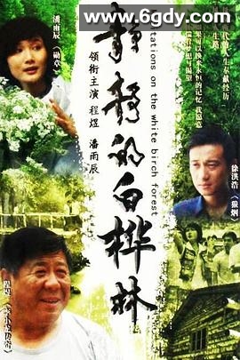 静静的白桦林(2008)完结已完结迅雷网盘全集下载