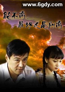 能不离，最好还是别离(2007)完结已完结迅雷网盘全集下载