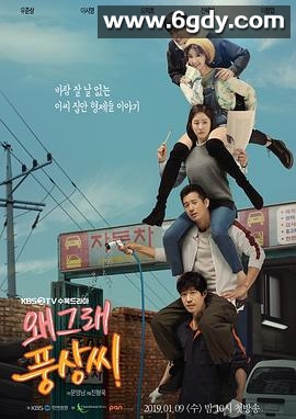 为何那样，奉尚先生(2019)完结20集全迅雷网盘全集下载