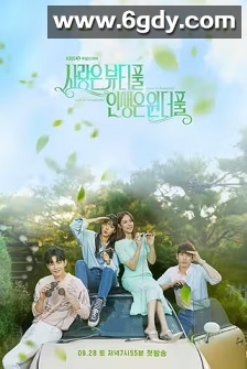 美丽爱情完美人生(2019)完结100集全迅雷网盘全集下载