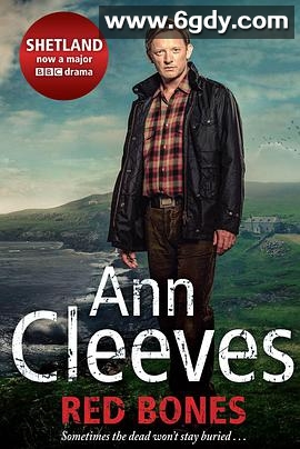 设得兰谜案 第一季(2013)完结2集全迅雷网盘全集下载