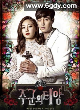 主君的太阳(2013)完结17集全迅雷网盘全集下载