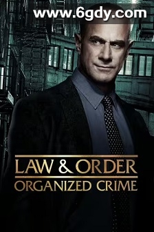 法律与秩序：组织犯罪 第四季(2024)完结13集全迅雷网盘全集下载