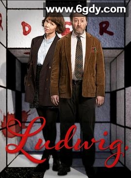 谜探路德维希 第一季(2024)完结6集全迅雷网盘全集下载