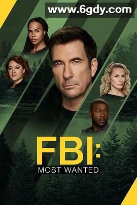 联邦调查局：通缉要犯 第六季(2024)完结22集全迅雷网盘全集下载
