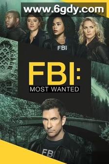 联邦调查局：通缉要犯 第五季(2024)完结13集全迅雷网盘全集下载