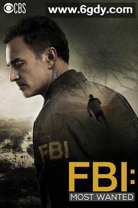 联邦调查局：通缉要犯 第一季(2020)完结14集全迅雷网盘全集下载