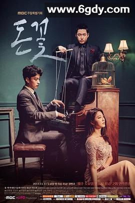 金钱之花(2017)完结24集全迅雷网盘全集下载