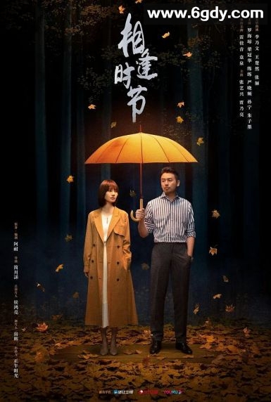 相逢时节(2022)完结38集全迅雷网盘全集下载