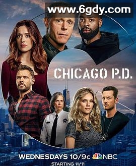 芝加哥警署 第八季(2020)完结16集全迅雷网盘全集下载