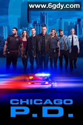 芝加哥警署 第七季(2019)完结20集全迅雷网盘全集下载