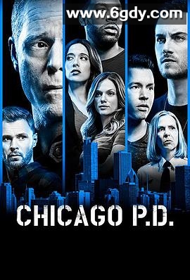 芝加哥警署 第六季(2018)完结22集全迅雷网盘全集下载