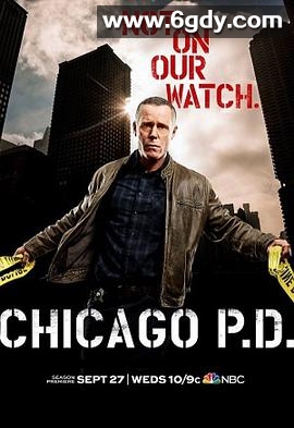 芝加哥警署 第五季(2017)完结22集全迅雷网盘全集下载