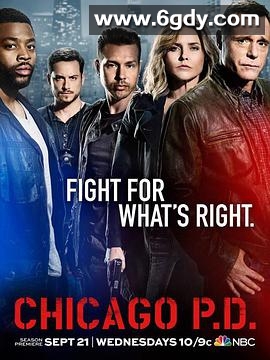 芝加哥警署 第四季(2016)完结23集全迅雷网盘全集下载