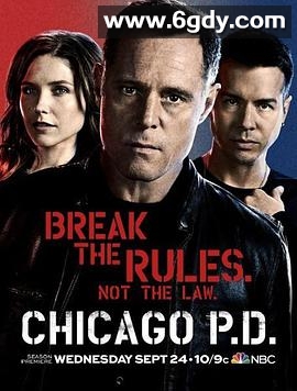 芝加哥警署 第二季(2014)完结23集全迅雷网盘全集下载