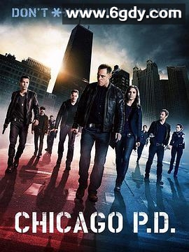 芝加哥警署 第一季(2014)完结15集全迅雷网盘全集下载