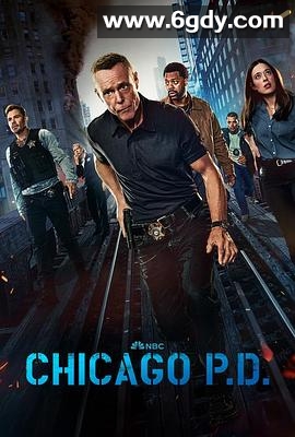 芝加哥警署 第十二季(2024)完结22集全迅雷网盘全集下载