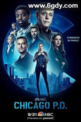 芝加哥警署 第十季(2022)完结22集全迅雷网盘全集下载