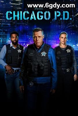 芝加哥警署 第十一季(2024)完结13集全迅雷网盘全集下载