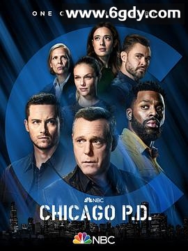 芝加哥警署 第九季(2021)完结22集全迅雷网盘全集下载
