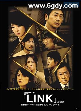 LINK(2013)完结已完结迅雷网盘全集下载