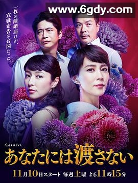 我不会让给你(2018)完结7集全迅雷网盘全集下载